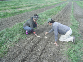 Kansas City CSA Coalition - NorthEast Kansas / NorthWest Missouri
