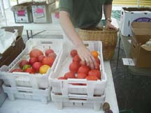 Kansas City CSA Coalition - NorthEast Kansas / NorthWest Missouri