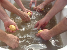 Kansas City CSA Coalition - NorthEast Kansas / NorthWest Missouri