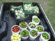 Kansas City CSA Coalition - NorthEast Kansas / NorthWest Missouri