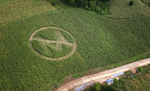 An anti-Monsanto crop circle in the Philippines