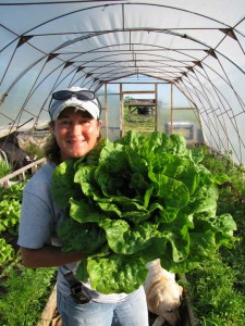 Spring Creek Farm (CSA) - Baldwin City, KS