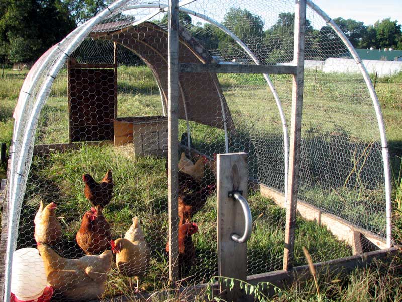 Spring Creek Farm (CSA) - Baldwin City, Kansas