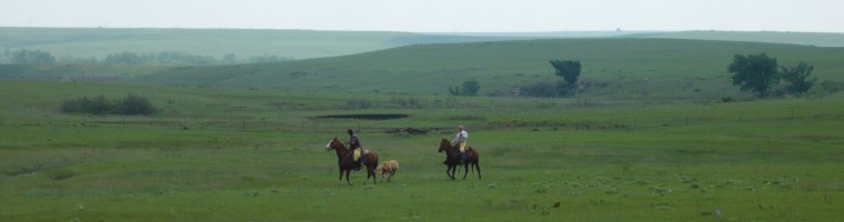 Lucky Star Farms - Eureka, Kansas - Grass Fed Black Angus Dry Aged Beef Lucky Star Farms - Eureka, Kansas - Grass Fed Black Angus Dry Aged Beef