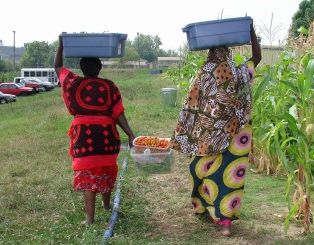 New Roots for Refugees - Kansas City, Kansas