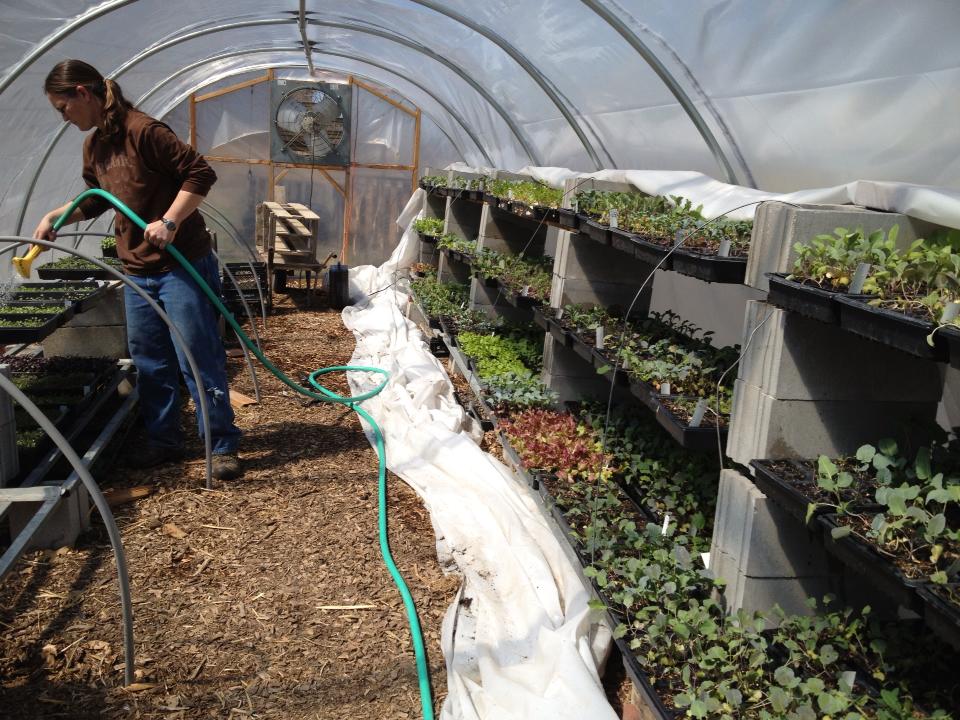 Moon on the Meadow - Tunnel Sprouts - Lawrence, KS Moon on the Meadow - Tunnel Sprouts - Lawrence, KS