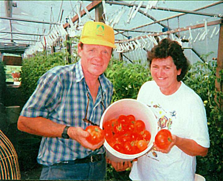 Nature's Choice Tomatoes - Biodynamic Farming