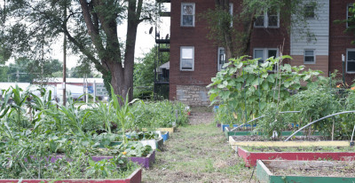 ST_UrbanGrown_UrbanFarmGuys-007