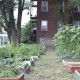 ST_UrbanGrown_UrbanFarmGuys-007