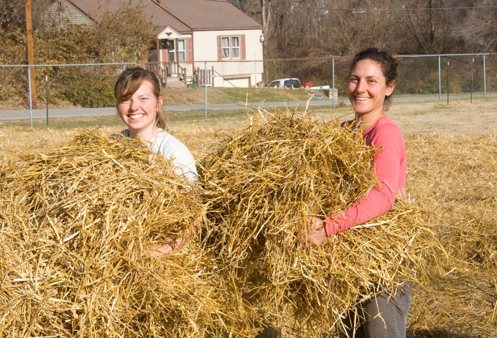 Three Forks Farm - KCMO - WithStraw