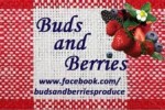 Buds and Berries/Wisely Farms Buds and Berries/Wisely Farms