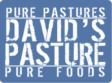 davidspasturelogo