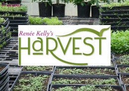 reneekellyharvest