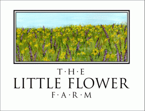 thelittleflowerlogo