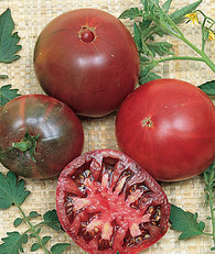 tomatoes